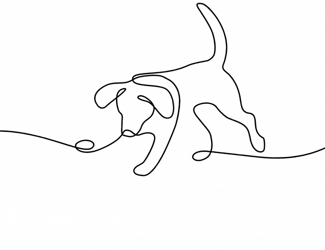 Berlin Dogwalker